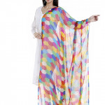 Women's Multicoloured Printed Chiffon Dupatta